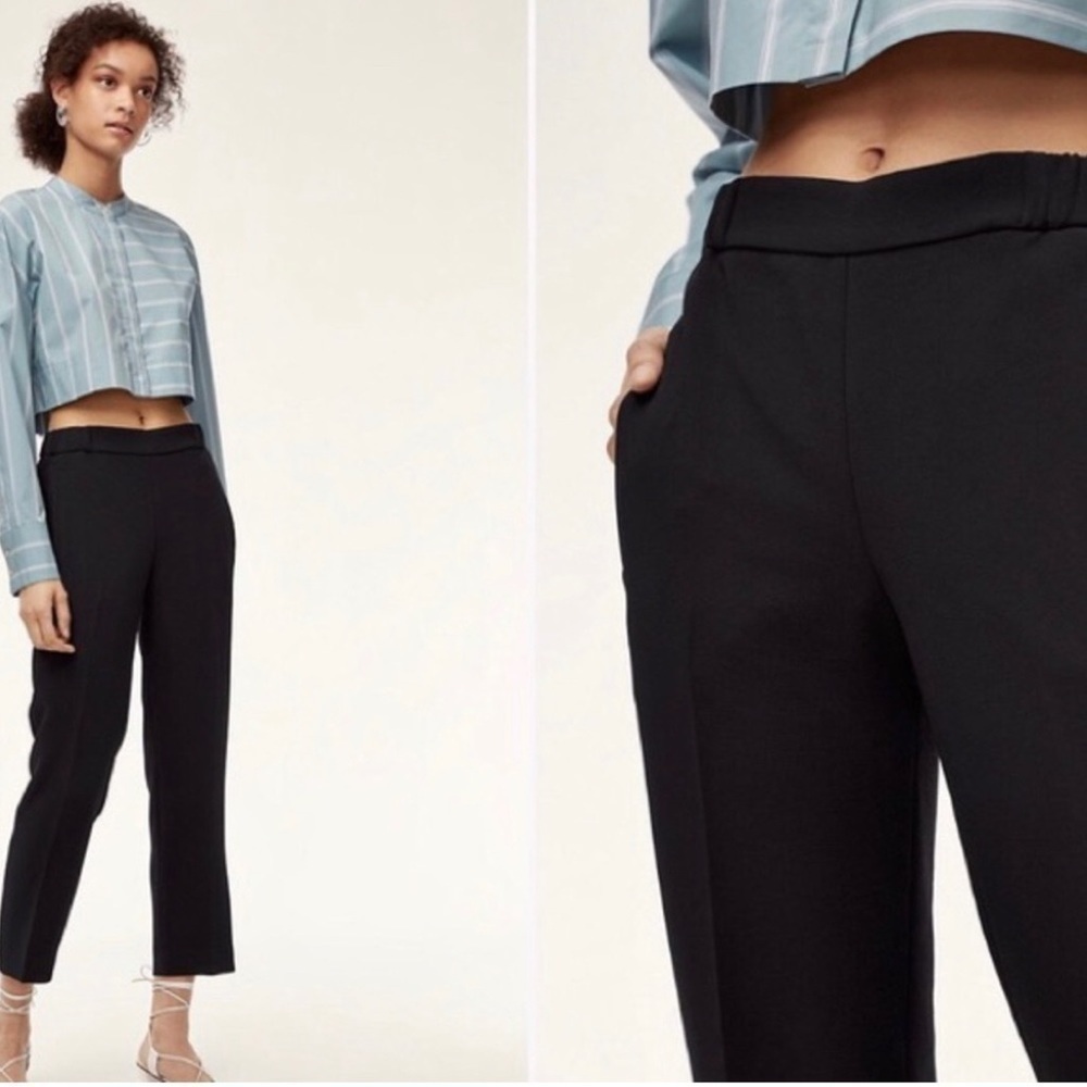 Aritzia Wilfred Darontal Pant